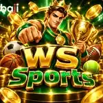 Ws Sports - Sports game